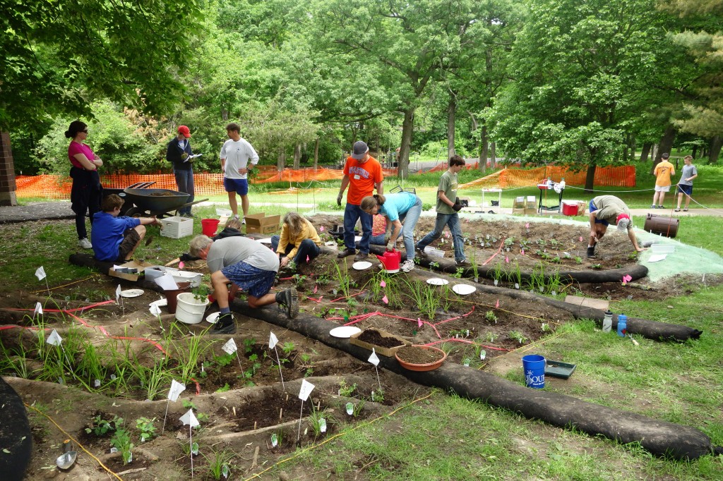 raingarden