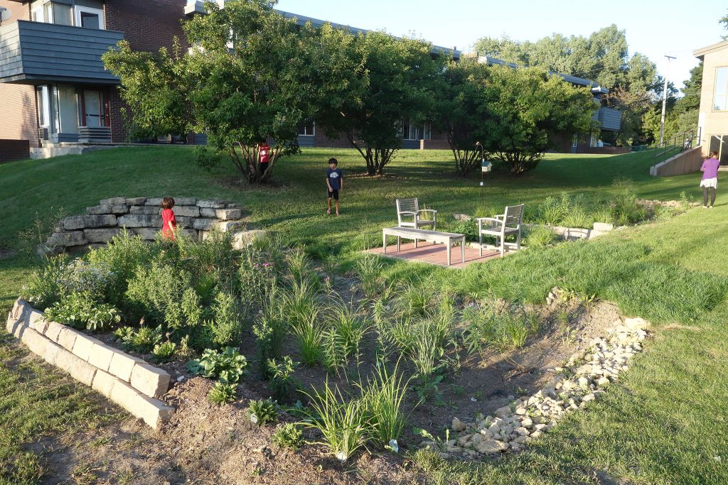 CMC Rain Garden - DT