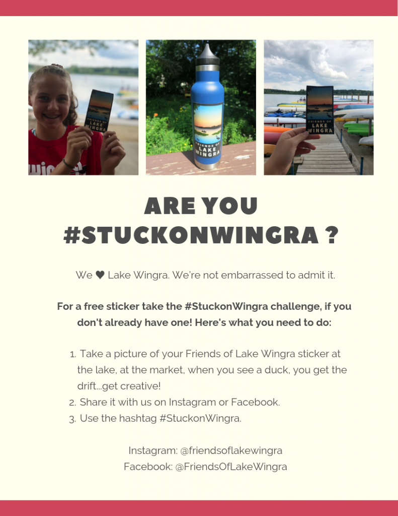 We ♥ Lake Wingra. We’re not embarrassed to admit it.

For a free sticker take the #StuckonWingra challenge, if you 

don't already have one! Here's what you need to do: 
Take a picture of your Friends of Lake Wingra sticker at the lake, at the market, when you see a duck, you get the drift...get creative!
 Share it with us on Instagram or Facebook. 
 Use the hashtag #StuckonWingra. 


Instagram: @friendsoflakewingra

Facebook: @FriendsOfLakeWingra
