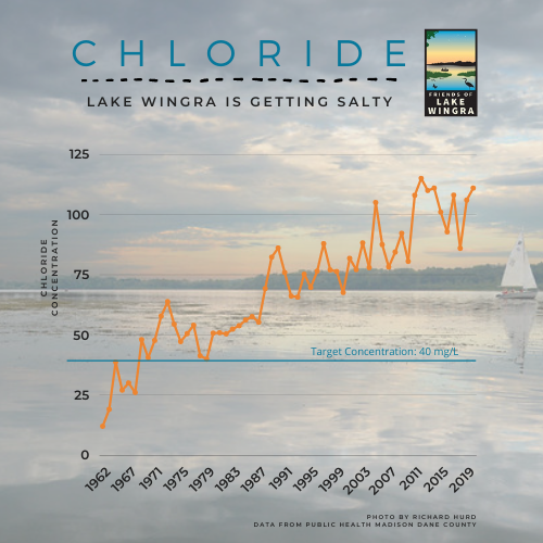 Chloride, Lake Wingra is getting salty. Shows chloride concentrations steadily rising since 1962 to 2019.