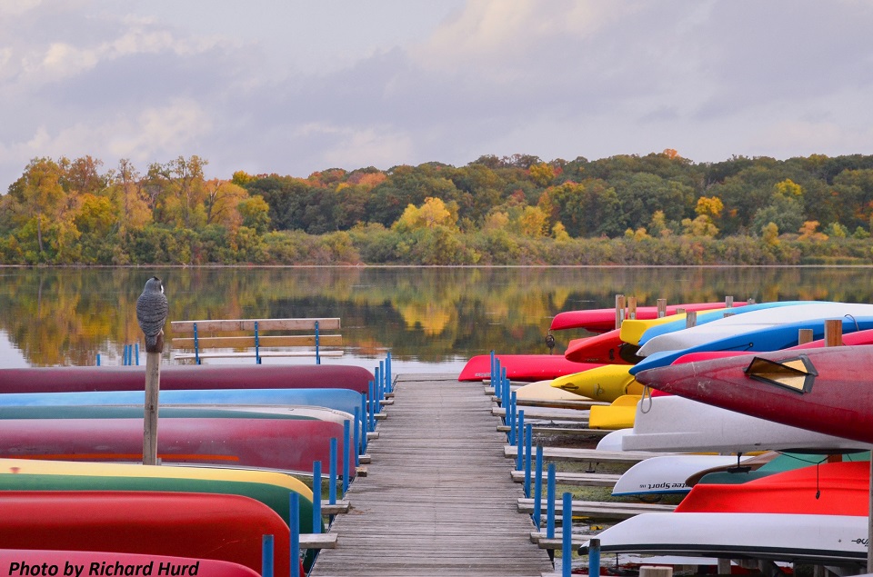 Fall at Wingra Boats